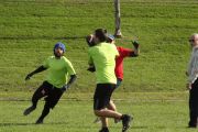 OTFL Gallery Image
